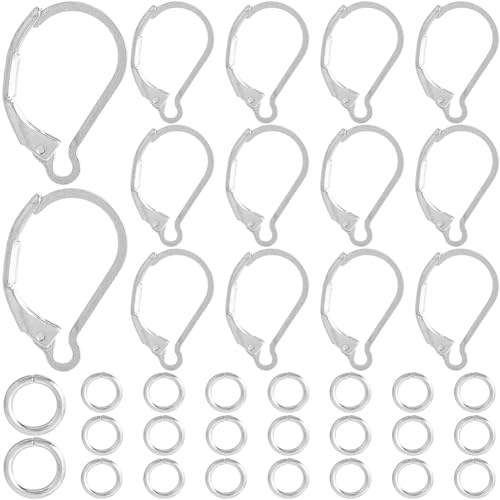 SOFPLATE 1 Box 80 Stück Edelstahl-Ohrringhaken, silberfarbene Klappbügel-Fundstücke, große Huggie-Hebelrückseite, französischer Hoop mit 100 Stück Biegeringe Ohrdrähte für Schmuckherstellung SOFPLATE 1 Box 80 Stück Edelstahl-Ohrringhaken, silberfarbene Klappbügel-Fundstücke, große Huggie-Hebelrückseite, französischer Hoop mit 100 Stück Biegeringe Ohrdrähte für Schmuckherstellung von SOFPLATE