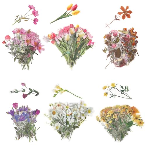SOFPLATE 240 Stück Vorgeschnittene Blumennaufkleber Vintage Blumenn Scrapbook Aufkleber PET Wasserdicht Dekorative Tulpen WildBlumennpflanze Natürliche Aufkleber Für Planer Tagebuch Notizbuch Laptop T SOFPLATE 240 Stück Vorgeschnittene Blumennaufkleber Vintage Blumenn Scrapbook Aufkleber PET Wasserdicht Dekorative Tulpen WildBlumennpflanze Natürliche Aufkleber Für Planer Tagebuch Notizbuch Laptop T von SOFPLATE