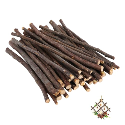 SOIMISS 40 Stück Dekorative Holzstäbe Drinnen Stöcke Zum Basteln Stiele Farbrührstäbchen Malstifte Zum Basteln Holzstöcke Basteln Größe Große Stöcke Dekoration Jumbo Farbstifte Hölzern von SOIMISS