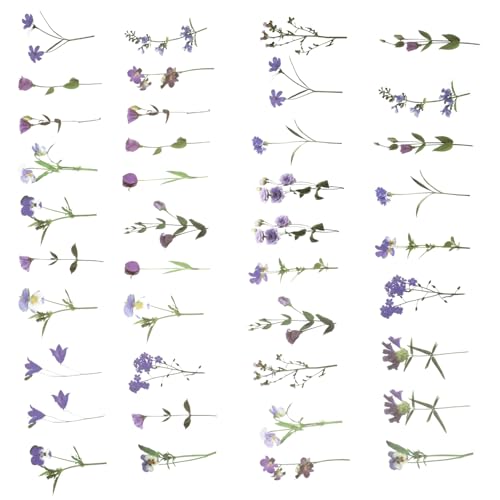 SOIMISS 80 Blatt Teiliges Pet blumen Selbstklebend Farbenfrohe Dekorative Vinyl aufkleber für Scrapbooking Planer Fotoalben Vielseitige Blumige Motive für DIY Bastelprojekte SOIMISS 80 Blatt Teiliges Pet blumen Selbstklebend Farbenfrohe Dekorative Vinyl aufkleber für Scrapbooking Planer Fotoalben Vielseitige Blumige Motive für DIY Bastelprojekte von SOIMISS