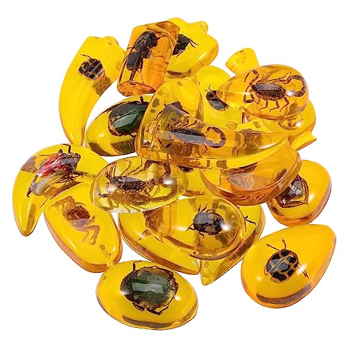 SOLUSTRE 10stücke Bernstein Insekten Resin Pädagogisches Für Junge Mädchen Kognitive Spielzeuge Zur Naturerkundung Archäologische Ausgrabungen Zufällige Formen Für Junge von SOLUSTRE