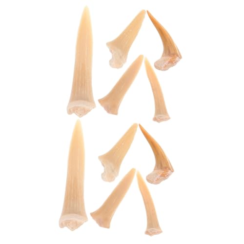SOLUSTRE 2 Sätze Halskette Charme Cooler Kettenanhänger Kit Zur Schmuckherstellung Zahn-edelstein-kit Hai-anhänger Schlüsselanhänger in Zahnform Fisch Süßigkeiten 5 Stück * 2 SOLUSTRE 2 Sätze Halskette Charme Cooler Kettenanhänger Kit Zur Schmuckherstellung Zahn-edelstein-kit Hai-anhänger Schlüsselanhänger in Zahnform Fisch Süßigkeiten 5 Stück * 2 von SOLUSTRE