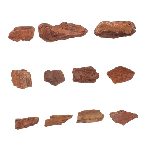 SOPOTUTU 1 Packung Miniaturisierte Rindenmaterialien für Dioramen Natürliche für Mikro Landschaften Feengärten und Modelleisenbahnen Pinienrinde zur Kreativen Gestaltung SOPOTUTU 1 Packung Miniaturisierte Rindenmaterialien für Dioramen Natürliche für Mikro Landschaften Feengärten und Modelleisenbahnen Pinienrinde zur Kreativen Gestaltung von SOPOTUTU