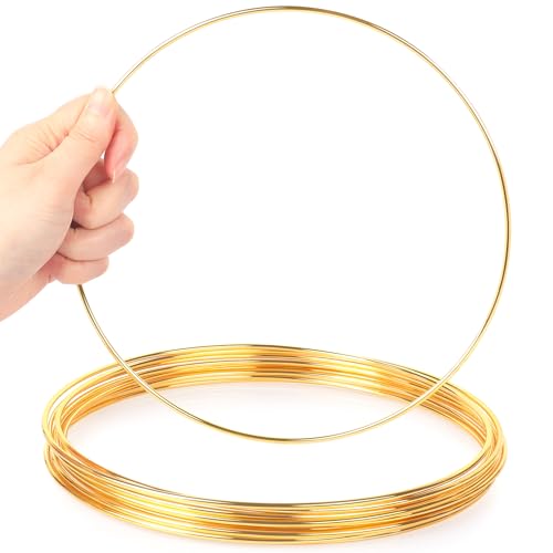 Metallringe zum Basteln - SOSMAR 20cm Metall Ringe, Makramee Ringe, Traumfänger Ringe, Kränze Ringe, Blumen Reifen zum aufhängen dekorieren, 10 Stück Metallringe zum Basteln - SOSMAR 20cm Metall Ringe, Makramee Ringe, Traumfänger Ringe, Kränze Ringe, Blumen Reifen zum aufhängen dekorieren, 10 Stück von SOSMAR