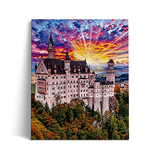 SOSSR DIY 5D Diamant Gemälde von Leinwandbild Nummer Kit, Architekturlandschaft von Schloss Neuschwanstein Crystal Strass Stickerei Kreuzstich Arts Craft Decor Diamond Painting 30x40cm von SOSSR