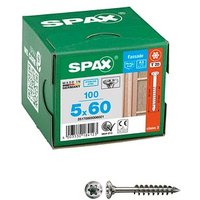 SPAX® Fassadenschrauben T20 Linsensenkkopf A2 25170005006021 5 mm x 60 mm, 100 St. von SPAX®