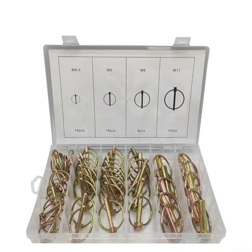 50-teiliges Ringstift-Ersatz-Set, Ringstift-Sets, Ersatzstift und O-Ring-Set, Federstift-Positionierungsstift für Autos, LKWs, Anhänger 50-teiliges Ringstift-Ersatz-Set, Ringstift-Sets, Ersatzstift und O-Ring-Set, Federstift-Positionierungsstift für Autos, LKWs, Anhänger von SPORTARC