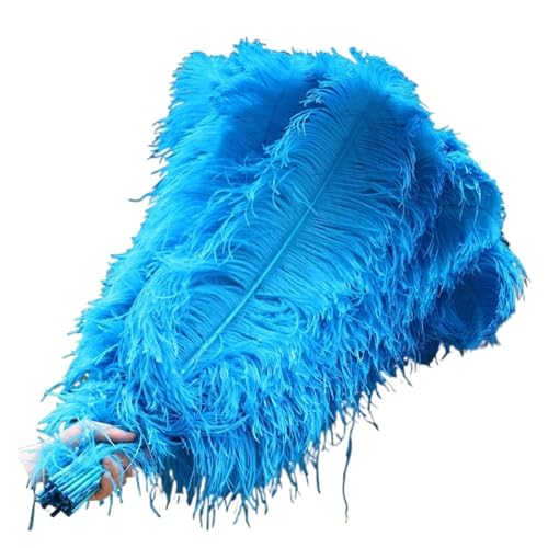 SPPEOUKJ Feder-FäCher 10 Teile/los Elegante Natürliche Federn 50-55cm for Handwerk Hochzeit Partei Liefert Karneval Tänzerin Dekoration Gefieder Fur TanzauffüHrungen(Blue01) von SPPEOUKJ