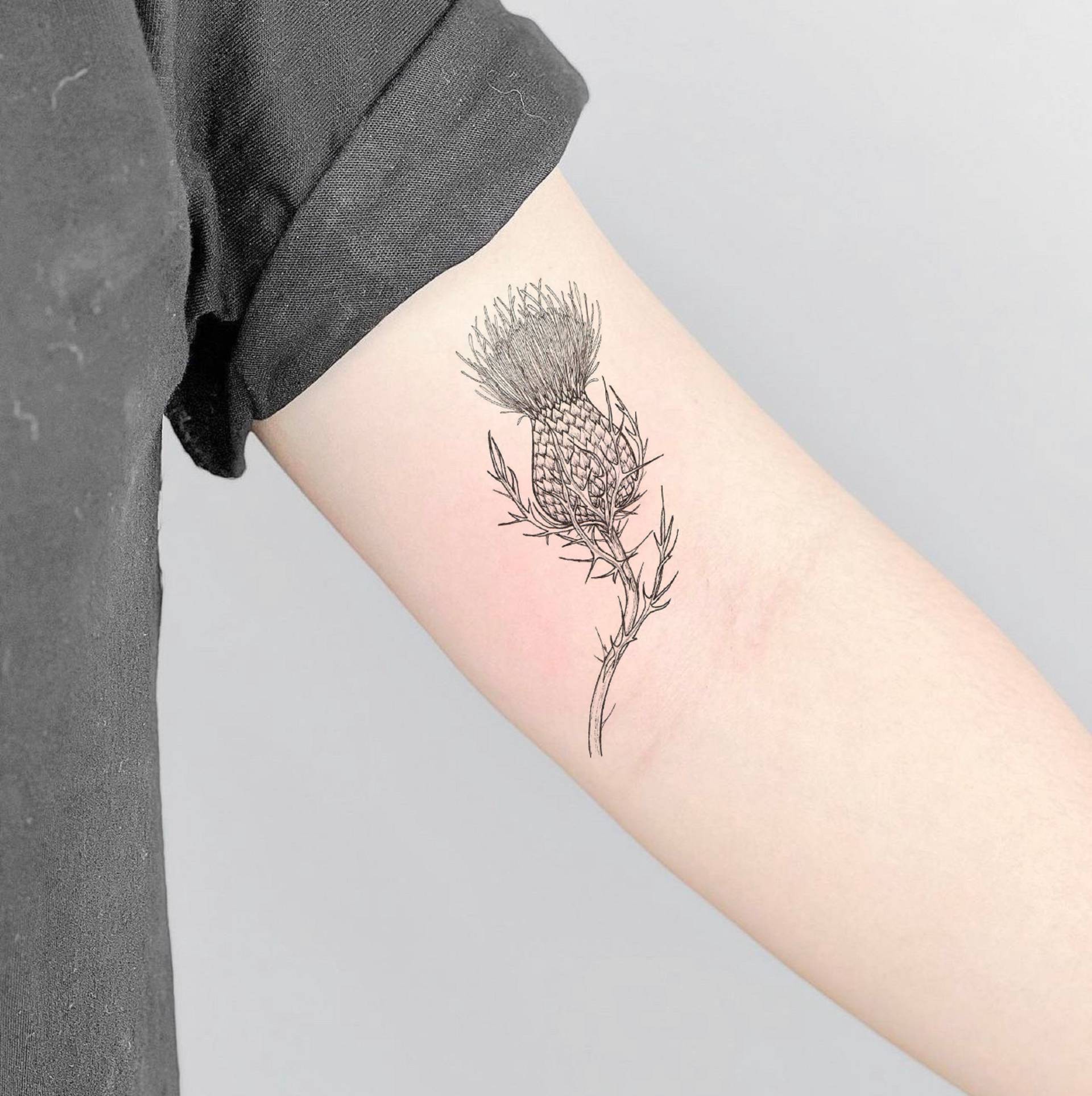 Distel Temporäres Tattoo, Fake Tattoo Künstler Geschenke, Festival Wasserdichtes Geschenk Für Tattoo-Liebhaber, Vintage von SPatrickStore