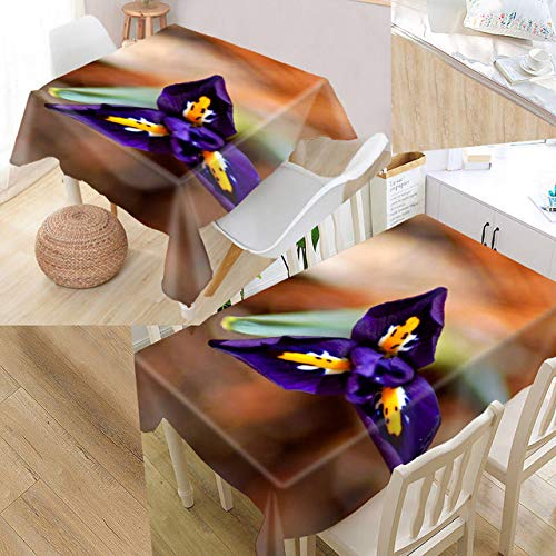 Schöne europäische Art Iris Tischdecke Oxford wasserdichte Tischdecke kann die Tischdecken für Hochzeit Hotel Dekoration waschen, 20,60x60cm von SSXCO