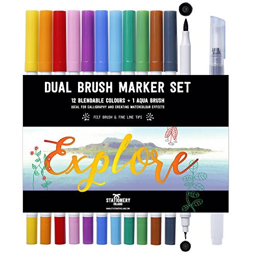 STATIONERY ISLAND Dual Brush Pen, Filzstifte Set 12 Farben mit 1 Wasserpinsel, Doppelseitig Pinselstifte Aquarellstifte, Filzstifte Dicke und Dünne von STATIONERY ISLAND