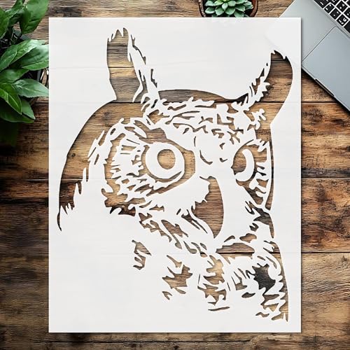 Schablone mit Eulengesicht, Kunststoff, wiederverwendbar, wiederverwendbar, 25,4 x 20,3 cm (L x B), für Bastelarbeiten und Heimdekoration von STENCILAIR