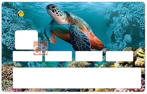 Aufkleber für Kreditkarte, Schildkröte, Marineblau von STICKERCB