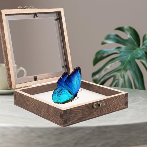 3D Bilderrahmen zum Befüllen, Schmetterlings Insekt Proben Ausstellungsbox, Holz Blumen Schattenbox, Vitrine Box Sammelbox Mit Durchsichtiger Oberseite Schmuckvitrine für Medaillen von STOBAZA
