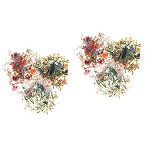 STOBOK 2 Sätze Pflanzen Sticker Pack Scrapbooking Floral Tape Sticker Abnehmbare Blumen Vintage Scrapbook Aufkleber Haustier Blumen Sticker DIY Scrapbook Zubehör Journal 120 Stück * 2 von STOBOK