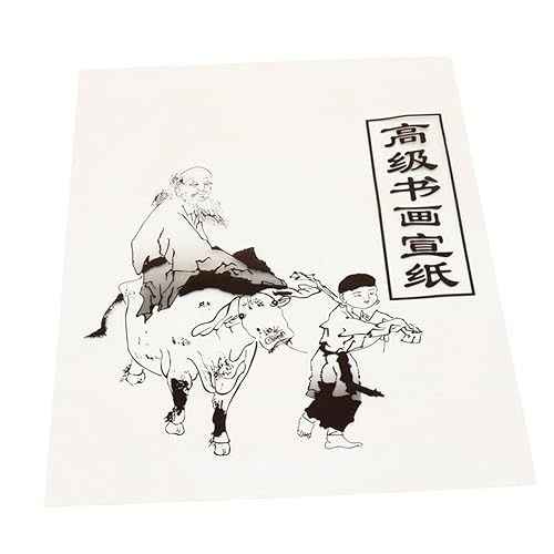 STOBOK Japanisch 30 Blätter Chinesisches Wenzhou Papier Schriftrolle Asiatische Tuschmalerei Papier Decoupage-reispapier Student Kunstpapier Chinesisches Gemälde Weiß Chinesisches Papier von STOBOK