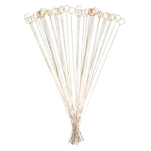 STOBOK Metallspieße 40 Stück Runde Blumenstrauß-kartenspieße Blumenkartenhalter-stäbchen Metalldraht-tischkartenhalter Für Veranstaltungen STOBOK Metallspieße 40 Stück Runde Blumenstrauß-kartenspieße Blumenkartenhalter-stäbchen Metalldraht-tischkartenhalter Für Veranstaltungen von STOBOK