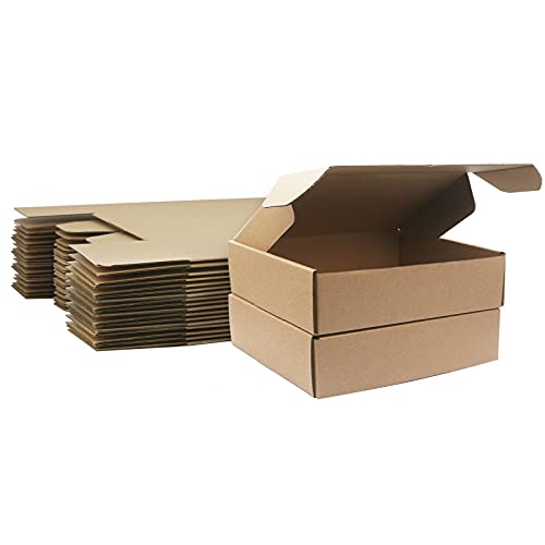 Klein Versandkartons, 210x100x50mm Maxibriefkartons für Postversand, Versandtaschen Warensendung, Braune Verpackungskartons für Geschäft, Aufbewahrung oder Geschenkbox, aus Wellpappe(10 Stück) von STRBOXONG