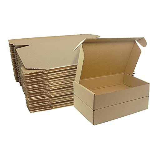 Klein Versandkartons, 230x160x50mm Maxibriefkartons für Postversand, Versandtaschen Warensendung, Braune Verpackungskartons für Geschäft, Aufbewahrung oder Geschenkbox, aus Wellpappe(10 Stück) von STRBOXONG