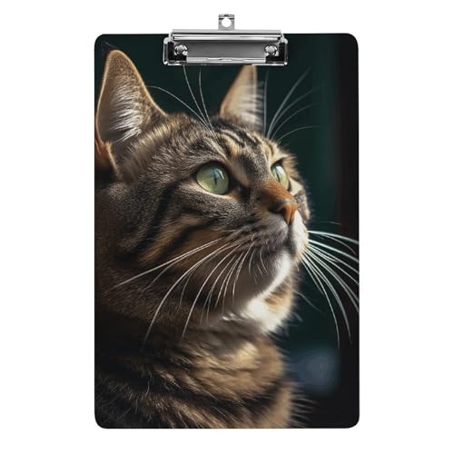 Acryl-Klemmbrett, A4-Größe, leicht und langlebig, mit Edelstahl-Aufhängeloch, Tabby-Katzenbilder, tragbarer Dokumenten-Organizer, hält 80–100 Blatt für Büro, Zuhause, Gebrauch Acryl-Klemmbrett, A4-Größe, leicht und langlebig, mit Edelstahl-Aufhängeloch, Tabby-Katzenbilder, tragbarer Dokumenten-Organizer, hält 80–100 Blatt für Büro, Zuhause, Gebrauch von STVNKML
