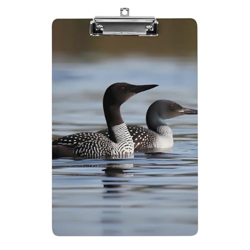 Acryl-Klemmbrett, A4-Größe, leicht und langlebig, mit Loch zum Aufhängen, Loon Birds, tragbarer Dokumenten-Organizer, hält 80–100 Blatt für Büro, Zuhause, Gebrauch Acryl-Klemmbrett, A4-Größe, leicht und langlebig, mit Loch zum Aufhängen, Loon Birds, tragbarer Dokumenten-Organizer, hält 80–100 Blatt für Büro, Zuhause, Gebrauch von STVNKML