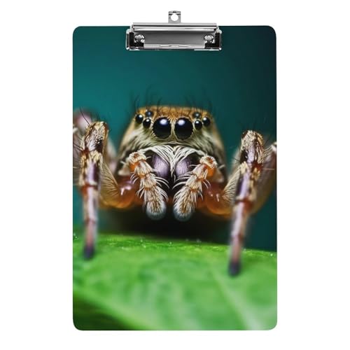 Acryl-Klemmbrett, A4-Größe, leicht und langlebig, mit Loch zum Aufhängen, Wildlife Spider Tragbarer Dokumenten-Organizer, hält 80–100 Blatt für Büro, Zuhause, Gebrauch Acryl-Klemmbrett, A4-Größe, leicht und langlebig, mit Loch zum Aufhängen, Wildlife Spider Tragbarer Dokumenten-Organizer, hält 80–100 Blatt für Büro, Zuhause, Gebrauch von STVNKML