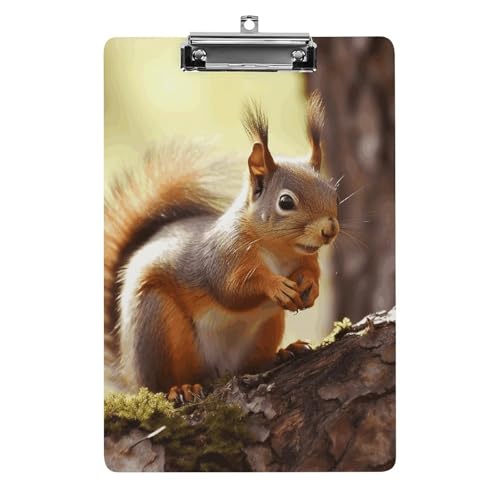 Acryl-Klemmbrett, A4-Größe, leicht und langlebig, mit Loch zum Aufhängen, lustiges Eichhörnchen, tragbarer Dokumenten-Organizer, hält 80–100 Blatt für Büro, Zuhause, Gebrauch Acryl-Klemmbrett, A4-Größe, leicht und langlebig, mit Loch zum Aufhängen, lustiges Eichhörnchen, tragbarer Dokumenten-Organizer, hält 80–100 Blatt für Büro, Zuhause, Gebrauch von STVNKML