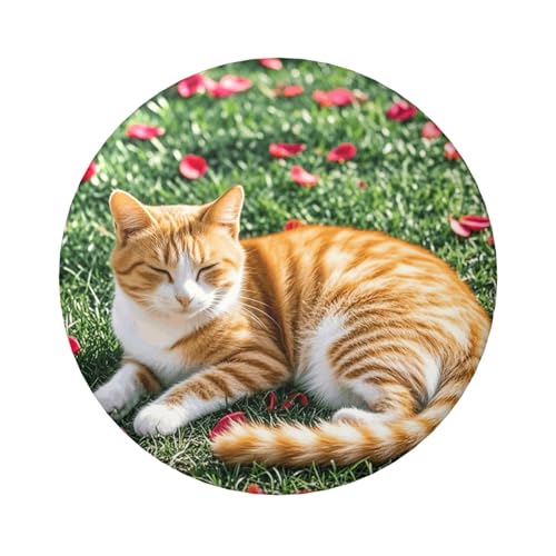 Katzen- und Blütenblatt-Knopfnadeln, 6,1 cm, rund, Metall, personalisierbar, Bild, Foto, Anstecknadel-Set für Bastelbedarf, Weihnachten, DIY-Projekte, 12 Stück Katzen- und Blütenblatt-Knopfnadeln, 6,1 cm, rund, Metall, personalisierbar, Bild, Foto, Anstecknadel-Set für Bastelbedarf, Weihnachten, DIY-Projekte, 12 Stück von STVYUKL