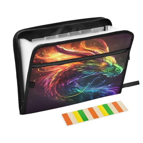 Fächermappe mit Regenbogen-Drachen, 13 Fächer, Akkordeon-Aktenordner mit Klebeetiketten, Reißverschluss, tragbarer A4-Dokumenten-Organizer für Büro, Schulbedarf, Reisen von SUABO