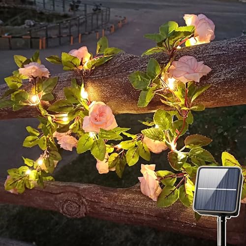 SUAVER Solar Rose Lichterkette Aussen Dekorative Lichter Künstlicher Rose Blume Efeu Girlande,Wasserdicht Solarlampen Gartendeko für Balkon Terrasse Zaun Hochzeit Party (Champagner, 2m 20LED) von SUAVER