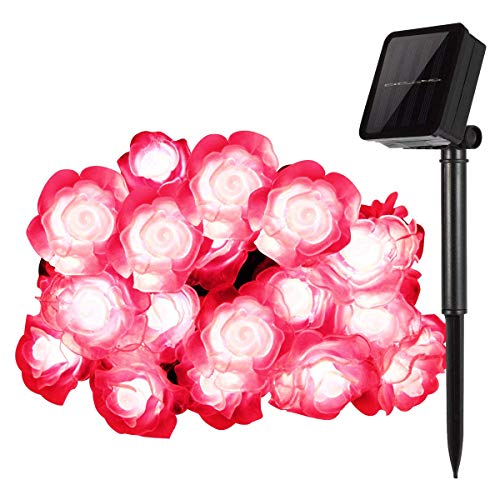 Solar Lichterkette,SUAVER Wasserdicht 50LED Rose Lichter Außen Blumen Garten Licht Außenlichterkette,LED Lichterketten für Garten,Terrasse,Zuhause,Weihnachtsdeko und Partys (Rot) von SUAVER