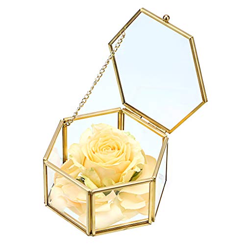Sumnacon Schmuckschatulle aus Metall und Glas,Schmuckbox, Schmukkiste,Schmuckkoffer,für Schmuck von Damen, Sechseckig(Golden) von SUMNACON
