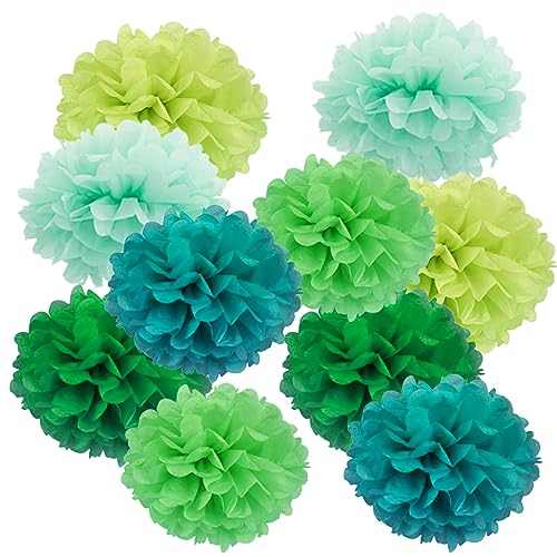SUNBEAUTY 10er Set farbige Seidenpapier Blumen PomPoms Ball Party Geburtstag Feier Dekoration (20cm) (10 Stück) von SUNBEAUTY