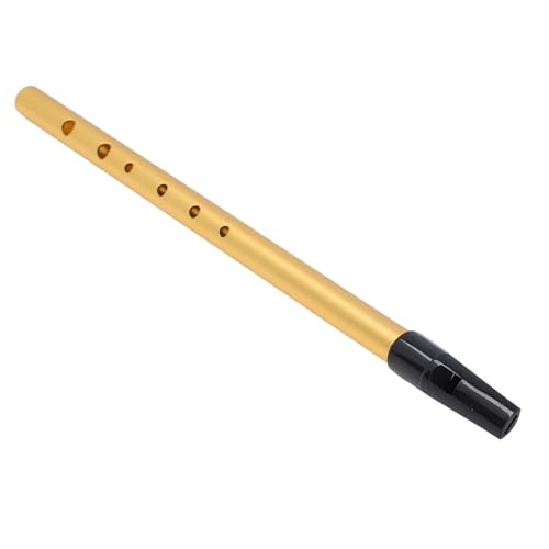 SUNGOOYUE Tragbare Legierung Professioneller Level Kurzflöte mit Lernhandbuch für Schüler, Leicht und Tragbar (Gold C -Melodie) von SUNGOOYUE