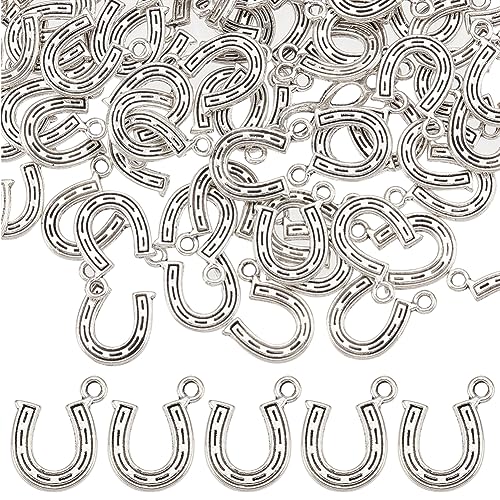 SUNNYCLUE 1 Box 100 Stück Cowboy Charms Hufeisen Charms Große Glücksbringer Pferde Charme Kriegspferd Western Cowboy Anhänger Für Die Schmuckherstellung Anhänger DIY Ohrringe Armbänder Halsketten SUNNYCLUE 1 Box 100 Stück Cowboy Charms Hufeisen Charms Große Glücksbringer Pferde Charme Kriegspferd Western Cowboy Anhänger Für Die Schmuckherstellung Anhänger DIY Ohrringe Armbänder Halsketten von SUNNYCLUE