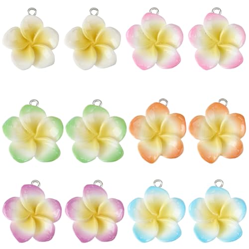 SUNNYCLUE 1 Box 24 Stück 6 Farben Frangipani Blüten Anhänger Florale Harzanhänger Lose Hawaii Sommer Frühlingspflanzen Anhänger Mit Schlaufe Für Die Schmuckherstellung Halsketten Armbänder Ohrringe DI SUNNYCLUE 1 Box 24 Stück 6 Farben Frangipani Blüten Anhänger Florale Harzanhänger Lose Hawaii Sommer Frühlingspflanzen Anhänger Mit Schlaufe Für Die Schmuckherstellung Halsketten Armbänder Ohrringe DI von SUNNYCLUE