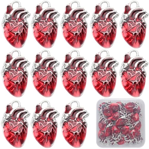 SUNNYCLUE 1 Box 30 Stück Herz Charms Bulk Legierung Anatomische Charms Rotes Emaille Metall Antik Silber Gothic 3D Orgel Herzen Hohle Charme Für Schmuckherstellung Frauen DIY Halsketten Ohrringe Armbä von SUNNYCLUE