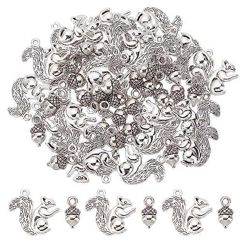 SUNNYCLUE 1 Box 60 Stück Eichhörnchen Charms Thanksgiving Charm Tannenzapfen Charms Große Ernte Tibet Stil Legierung Herbst Charm Herbst Charms Für Die Schmuckherstellung Charms DIY Ohrringe Armbänder von SUNNYCLUE