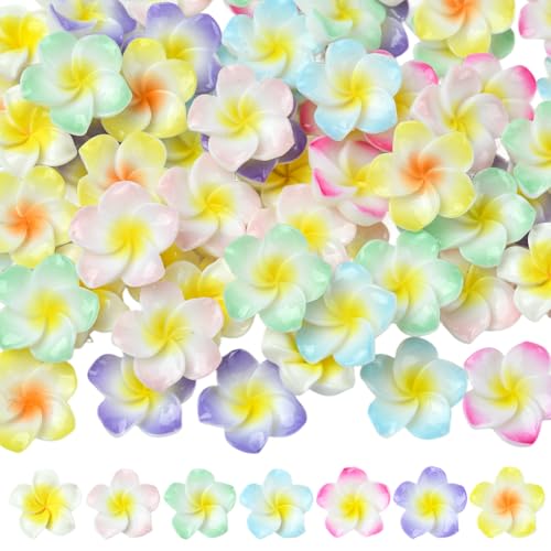 SUNNYCLUE 1 Box 70 Stück Plumeria Harz Charms Blume Cabochons flache Rückseite Sommer Hawaii 3D Floral kleine Perlen Charm Cabochon Verzierung für Schmuckherstellung, Scrapbooking, Handyhüllen, DIY SUNNYCLUE 1 Box 70 Stück Plumeria Harz Charms Blume Cabochons flache Rückseite Sommer Hawaii 3D Floral kleine Perlen Charm Cabochon Verzierung für Schmuckherstellung, Scrapbooking, Handyhüllen, DIY von SUNNYCLUE