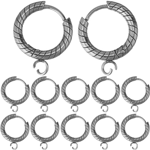 SUNNYCLUE 1 Box Mit 12 silbernen Leverback Ohrhaken Runde Ohrhaken Französische Ohrdrähte Strukturierte Huggie Creolen Edelstahl Hebelverschlüsse Ohrhaken Beschläge Zur Schmuckherstellung von SUNNYCLUE