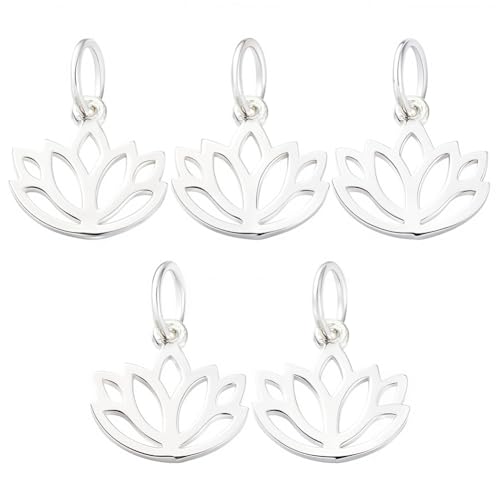 SUNNYCLUE 1 Box Sterling Silber Lotus Blume Charms Blume Des Lebens Schmuck Anhänger Hohl Lotus Baumeln Für DIY Schmuckherstellung Ohrring Halskette Armband Bastelbedarf SUNNYCLUE 1 Box Sterling Silber Lotus Blume Charms Blume Des Lebens Schmuck Anhänger Hohl Lotus Baumeln Für DIY Schmuckherstellung Ohrring Halskette Armband Bastelbedarf von SUNNYCLUE