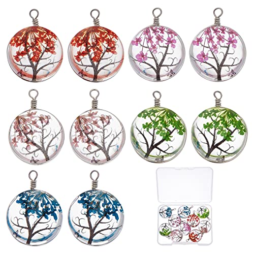 SUNNYCLUE 1 Schachtel 10 Stück Getrocknete Blumen Anhänger Natürliche Getrocknete Blumen Harz Charms Spitzenarbeit Transparenter Baum Harzperlen Pflanze Gepresste Blume Rund Eingewickelt Baum Des Lebe von SUNNYCLUE