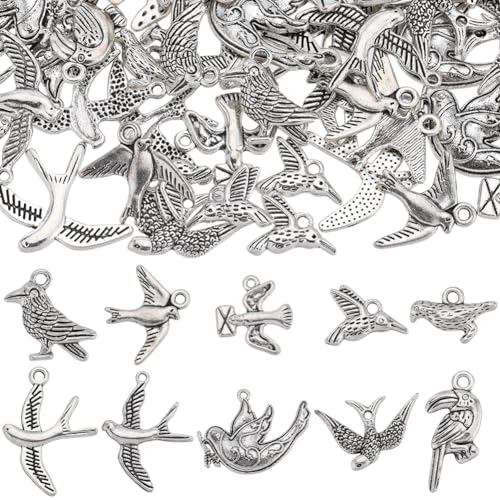 SUNNYCLUE 80 Stück Vogel Anhänger Aus Silber Kolibri Anhänger Bulk Legierung Im Tibetischen Stil Vintage Tier Mini Vögel Anhänger Für Die Schmuckherstellung Charms Zubehör DIY Halsketten Armbänder Ohr von SUNNYCLUE