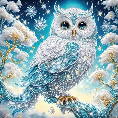 SUNSIERWEI Diamond Painting Erwachsene und Kinder, 5D Diamond Painting Bilder, DIY Mosaikherstellung Arts Craft für Heimdekoration,Weihnachtsgeschenke,Geschenke für Freunde, Familie,30x40cm(Eule) von SUNSIERWEI