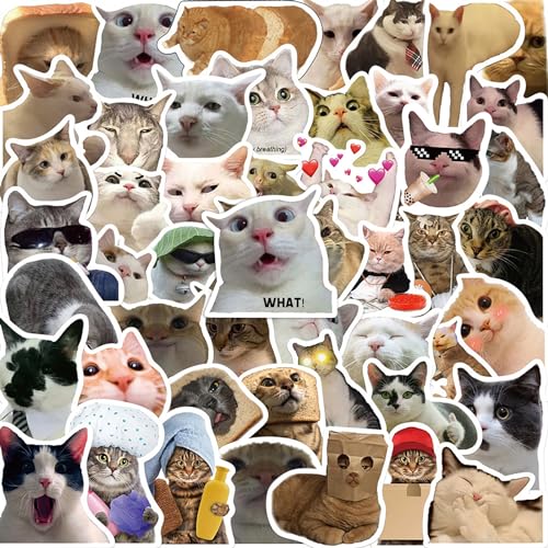 Katzen Sticker,50 Stück Lustiges Aufkleber Set Cat,Katzen Meme Sticker,Wasserfeste Vinyl Aufkleber Tiere für Skateboard Laptop Koffer Helm Motorrad Auto Fahrrad Handy,Geeignet für Erwachsene Kinder von SUNYOVIME