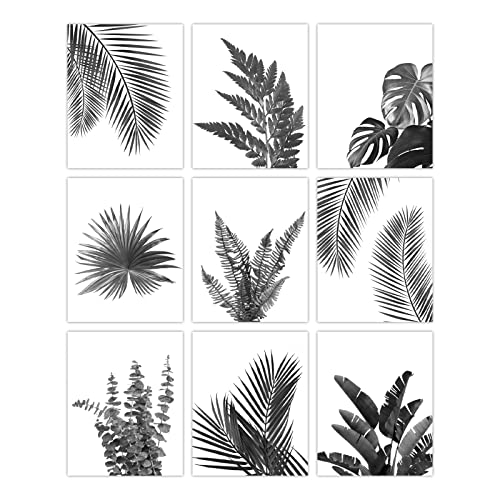 SUPERDANT Pflanzen Auf Leinwand Ungerahmt 9 Stück Schwarz-Weiß Tropische Blätter Minimalismus Leinwanddruck Heimkunstwerk Dekoration Für Wohnzimmer Schlafzimmer von SUPERDANT