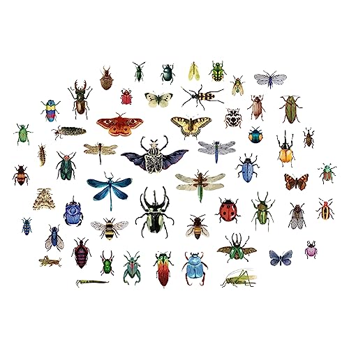 SUPERDANT Vintage Insekten Scrapbook Wandaufkleber Taxidermy Schmetterlingsaufkleber Mottenkäfer Wandaufkleber Libelle Heuschrecke Vinyl Kunstwanddekoration Für Biologielabor Bibliothek Kinderzimmer SUPERDANT Vintage Insekten Scrapbook Wandaufkleber Taxidermy Schmetterlingsaufkleber Mottenkäfer Wandaufkleber Libelle Heuschrecke Vinyl Kunstwanddekoration Für Biologielabor Bibliothek Kinderzimmer von SUPERDANT
