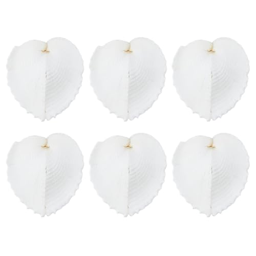 SUPERFINDINGS 6 Stück Natürliche Muschelperlen Ohne Loch Herzform Muschelperlen Im Ozean Stil Weiße Muschelperlen Aus Perlen Für DIY Lederketten Schmuck SUPERFINDINGS 6 Stück Natürliche Muschelperlen Ohne Loch Herzform Muschelperlen Im Ozean Stil Weiße Muschelperlen Aus Perlen Für DIY Lederketten Schmuck von SUPERFINDINGS