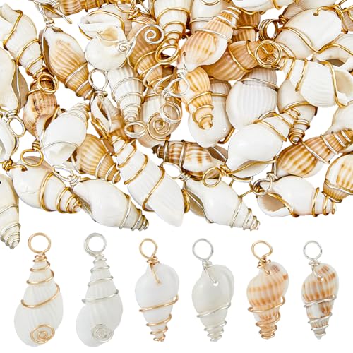 SUPERFINDINGS 60 Stück 6 Stile Muschelanhänger Spiral Strandmuschelanhänger Goldfarben Silbrig Drahtumwickelt Natürliche Muschelanhänger Kauri Muscheln Ozean Anhänger Für DIY Schmuck von SUPERFINDINGS