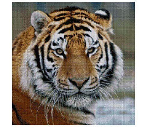 The Tiger, Kreuzstich-Set, 14 Karat, 200 x 200 Stiche, 46 x 46 cm, ägyptische Baumwolle, Kreuzstich-Set, Tiger The Tiger, Kreuzstich-Set, 14 Karat, 200 x 200 Stiche, 46 x 46 cm, ägyptische Baumwolle, Kreuzstich-Set, Tiger von sweethome